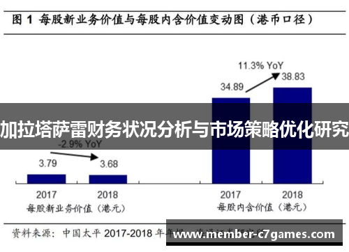 加拉塔萨雷财务状况分析与市场策略优化研究