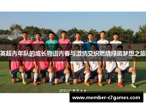 英超青年队的成长物语青春与激情交织燃烧绿茵梦想之旅