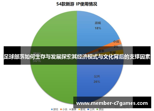 足球部落如何生存与发展探索其经济模式与文化背后的支撑因素 足球部落如何生存与发展探索其经济模式与文化背后的支撑因素