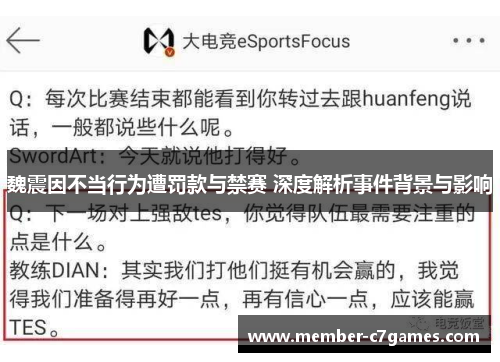 魏震因不当行为遭罚款与禁赛 深度解析事件背景与影响